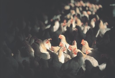 Obiettivo Agricoltura